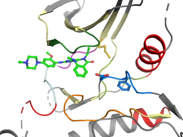 The orthosteric binding pocket