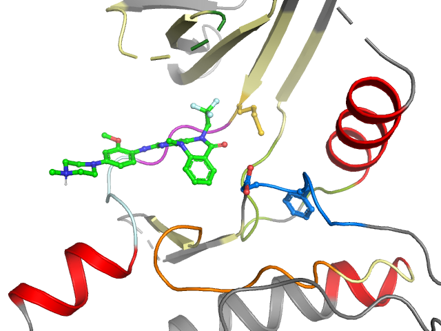 The orthosteric binding pocket