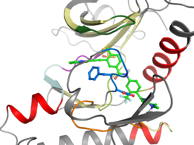 The orthosteric binding pocket