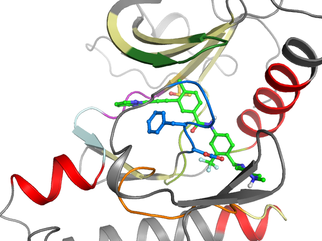 The orthosteric binding pocket