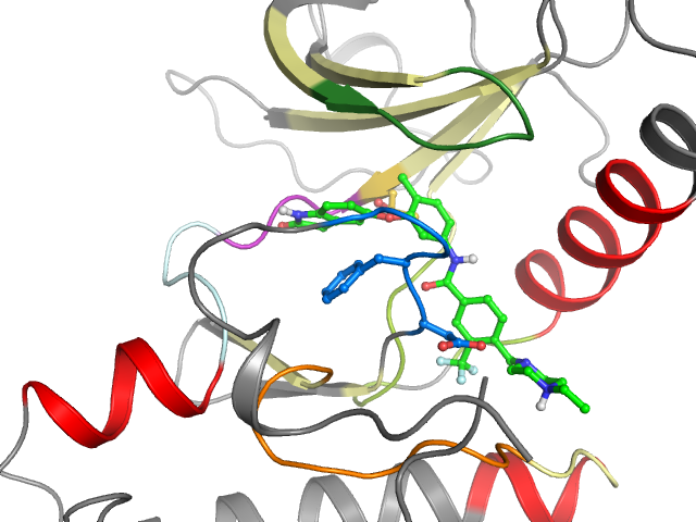 The orthosteric binding pocket