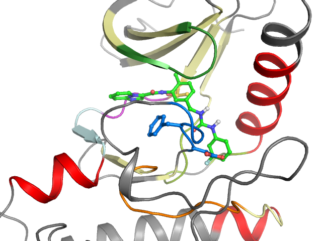 The orthosteric binding pocket