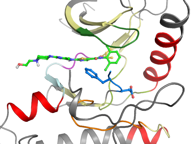 The orthosteric binding pocket