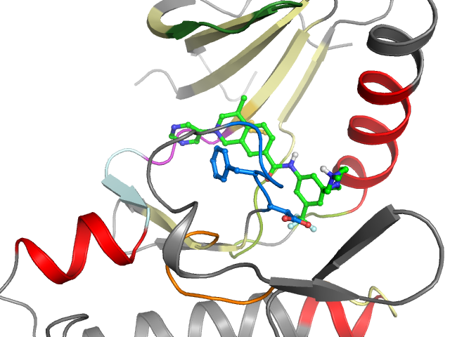 The orthosteric binding pocket