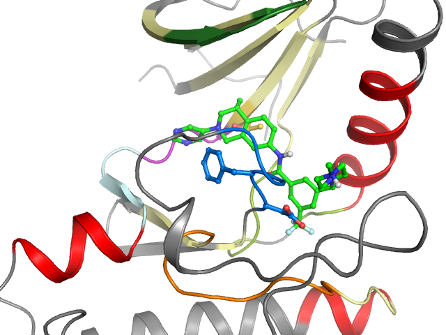 The orthosteric binding pocket