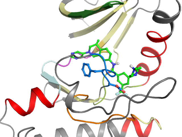 The orthosteric binding pocket