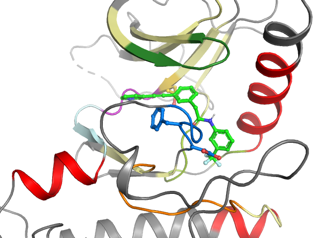 The orthosteric binding pocket