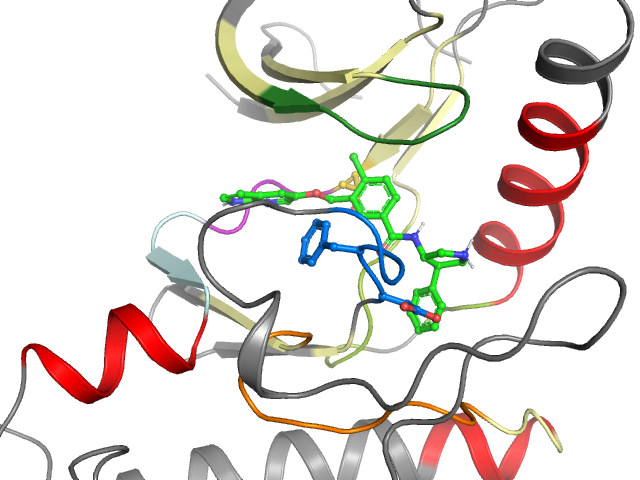 The orthosteric binding pocket