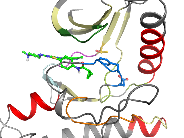 The orthosteric binding pocket
