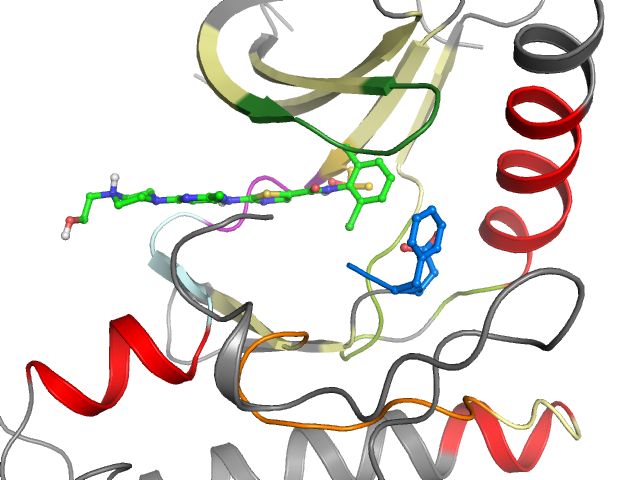 The orthosteric binding pocket