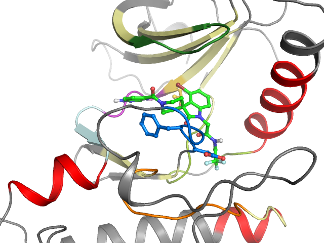 The orthosteric binding pocket