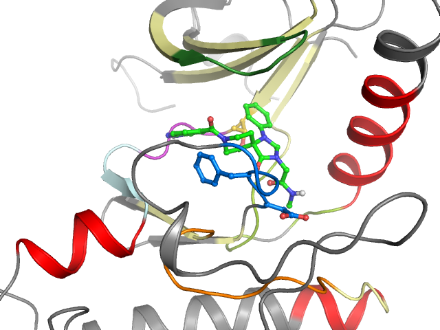 The orthosteric binding pocket