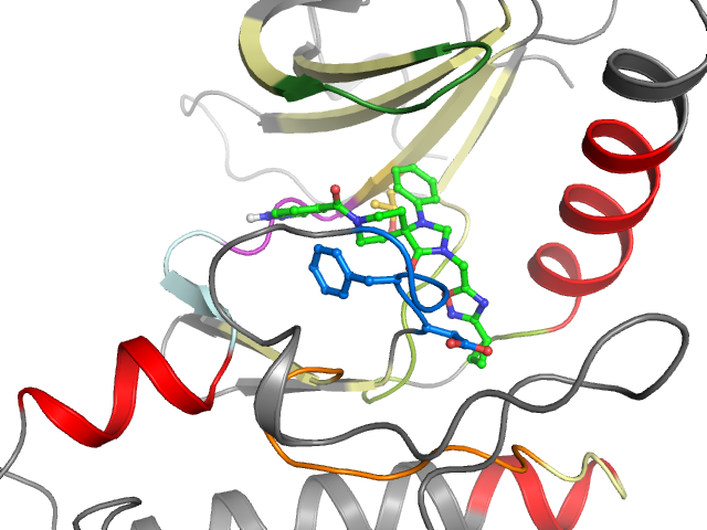 The orthosteric binding pocket
