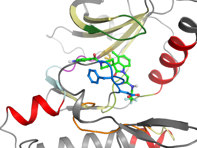 The orthosteric binding pocket