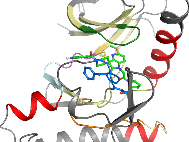The orthosteric binding pocket