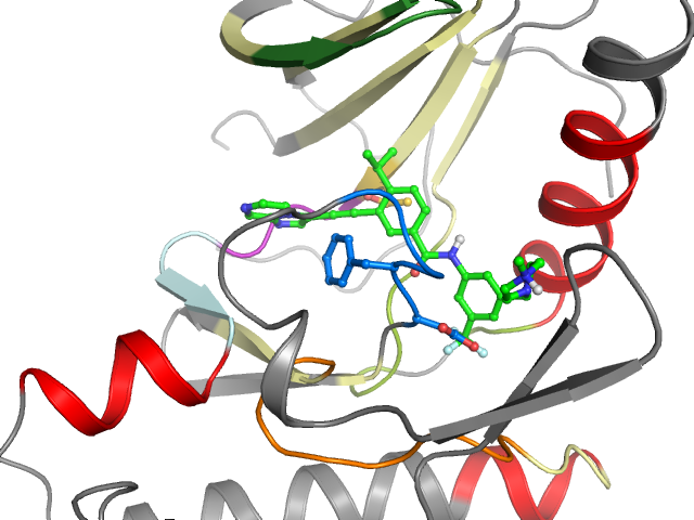 The orthosteric binding pocket