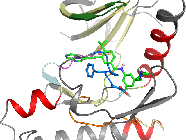 The orthosteric binding pocket