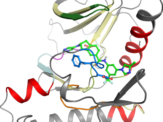 The orthosteric binding pocket