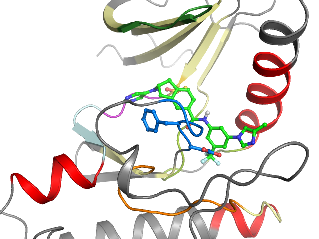The orthosteric binding pocket
