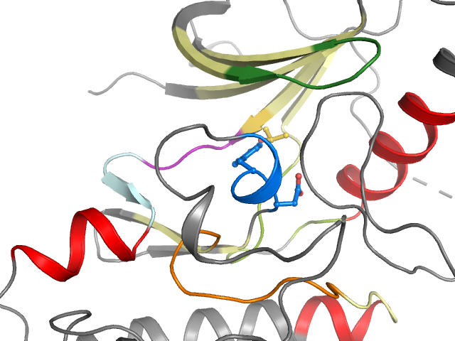 The orthosteric binding pocket