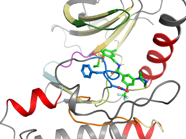 The orthosteric binding pocket