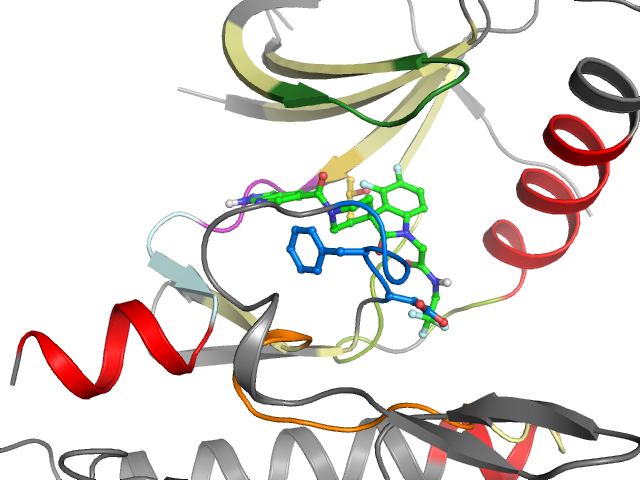 The orthosteric binding pocket