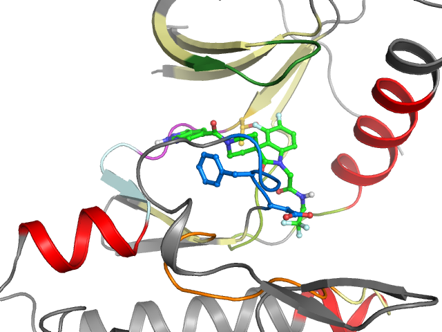 The orthosteric binding pocket