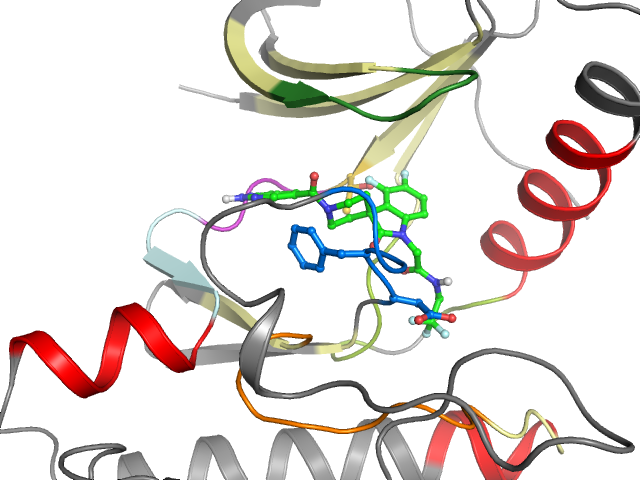 The orthosteric binding pocket