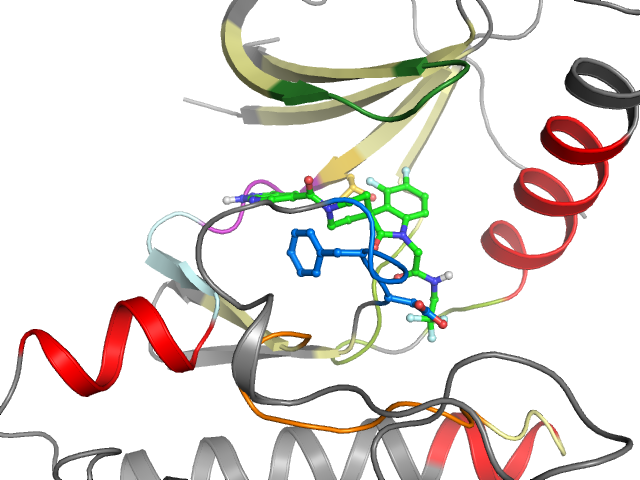 The orthosteric binding pocket