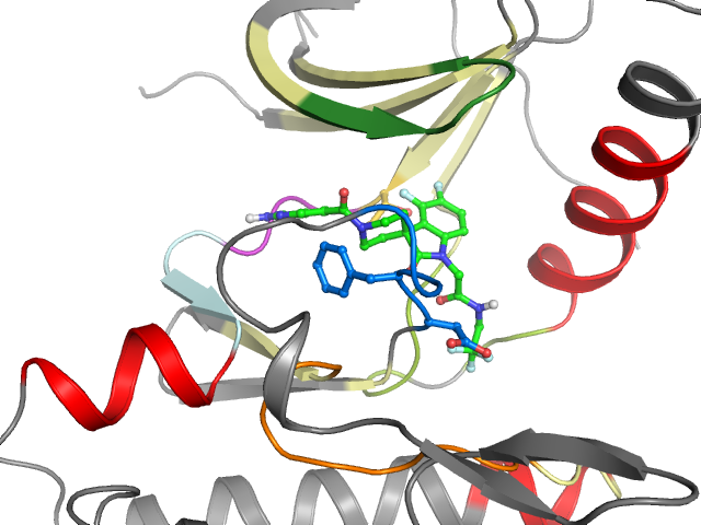The orthosteric binding pocket