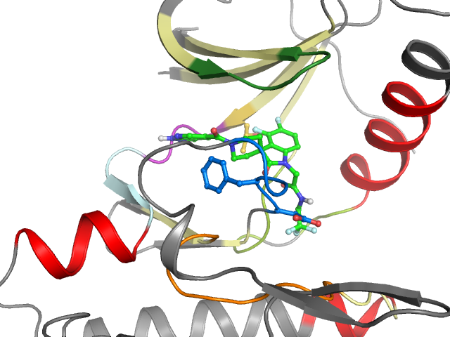 The orthosteric binding pocket