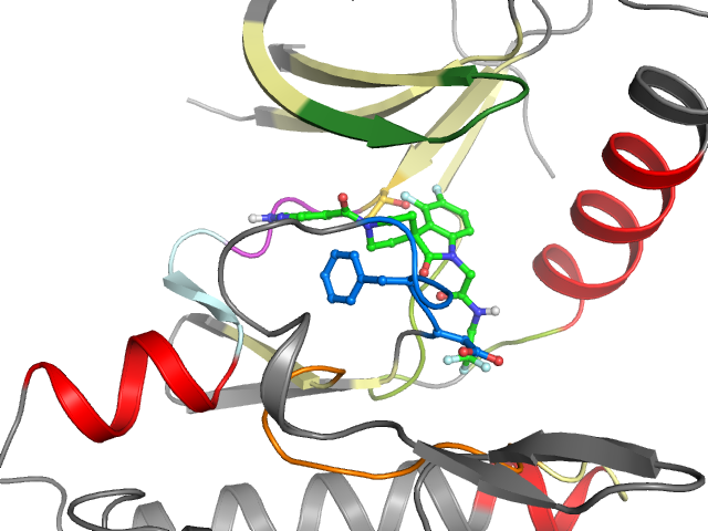 The orthosteric binding pocket