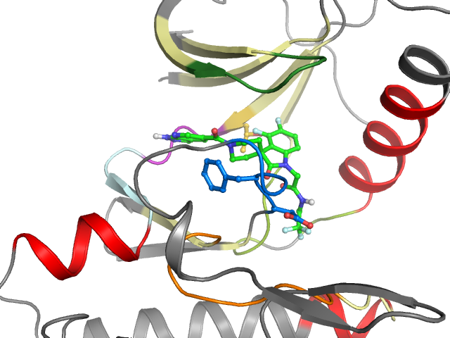 The orthosteric binding pocket