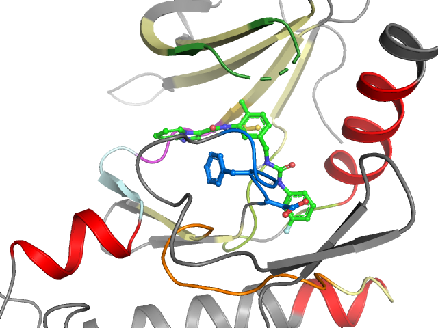 The orthosteric binding pocket