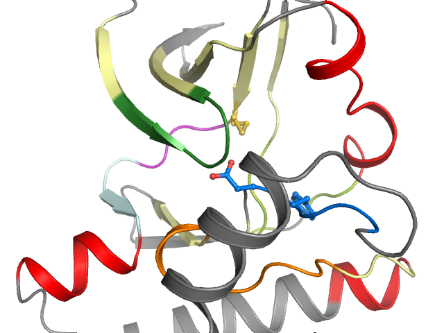 The orthosteric binding pocket