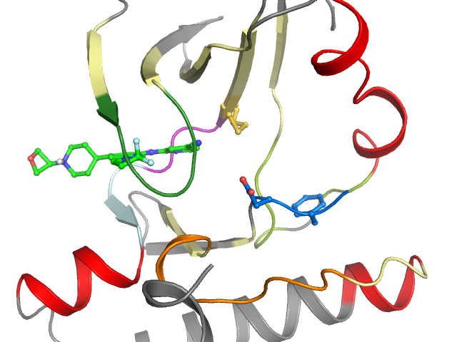 The orthosteric binding pocket