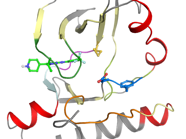 The orthosteric binding pocket