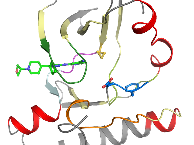 The orthosteric binding pocket