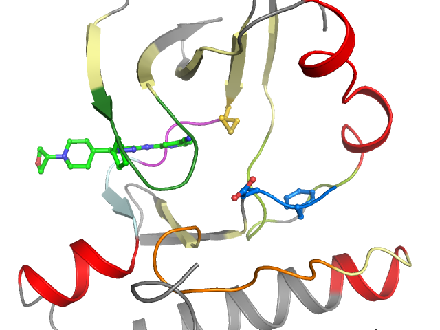 The orthosteric binding pocket