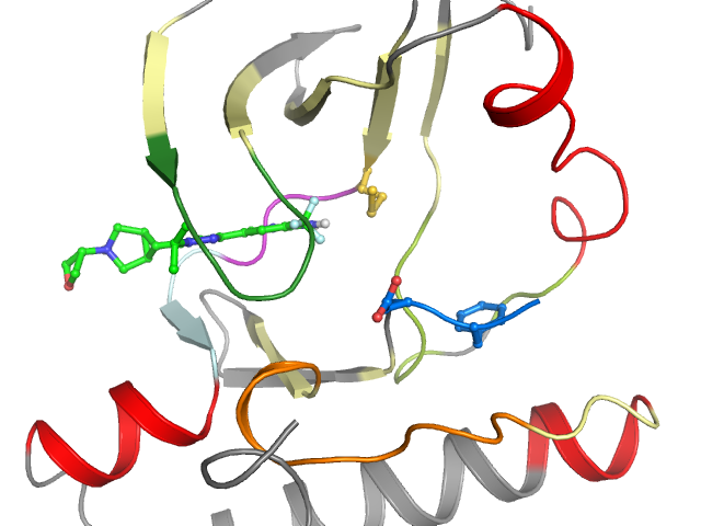 The orthosteric binding pocket