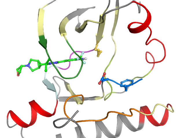 The orthosteric binding pocket