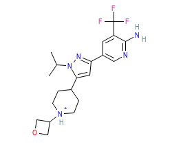 2D structure of the orthosteric ligand