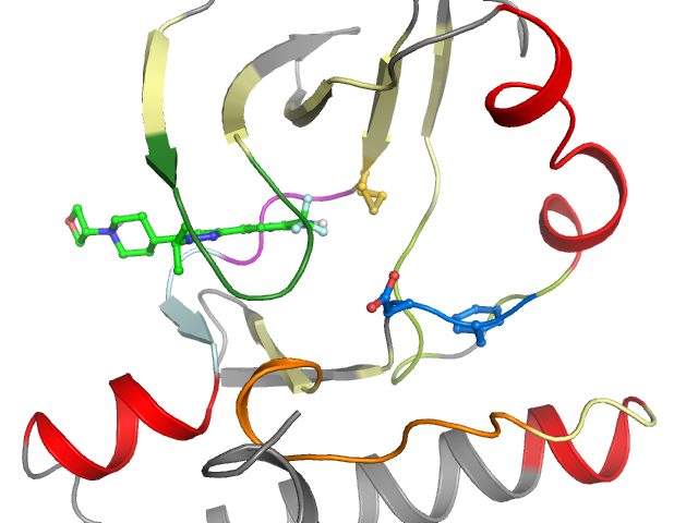 The orthosteric binding pocket