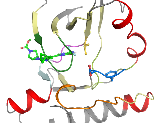 The orthosteric binding pocket