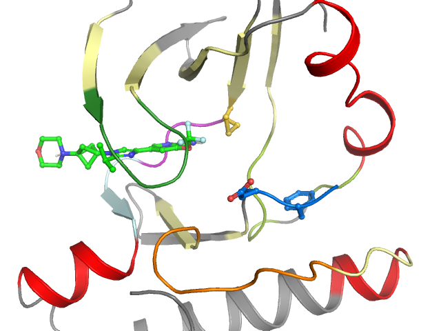 The orthosteric binding pocket