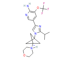 2D structure of the orthosteric ligand