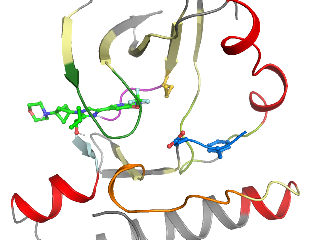 The orthosteric binding pocket
