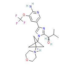 2D structure of the orthosteric ligand