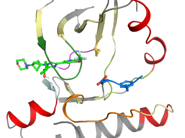 The orthosteric binding pocket