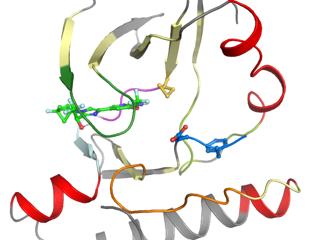 The orthosteric binding pocket